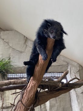 那須どうぶつ王国に投稿された画像（2021/8/16）