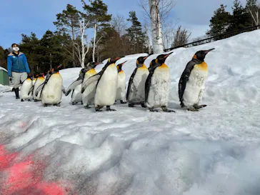 すみだ水族館に投稿された画像（2021/8/16）