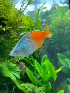 すみだ水族館に投稿された画像（2021/8/16）