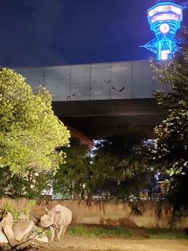 天王寺動物園に投稿された画像（2021/8/16）