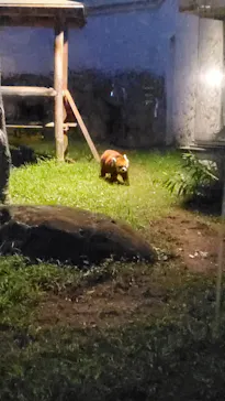 天王寺動物園に投稿された画像（2021/8/16）