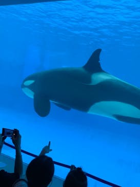 名古屋港水族館に投稿された画像（2021/8/16）