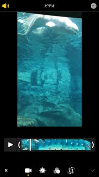 名古屋港水族館に投稿された画像（2021/8/16）