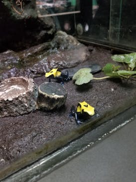 サンシャイン水族館に投稿された画像（2021/8/16）