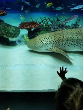 サンシャイン水族館に投稿された画像（2021/8/16）