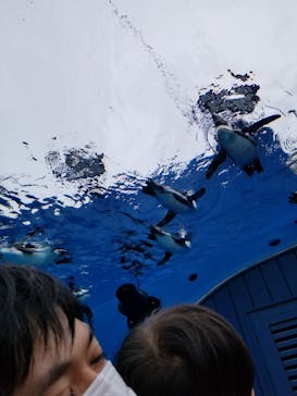 サンシャイン水族館に投稿された画像（2021/8/16）