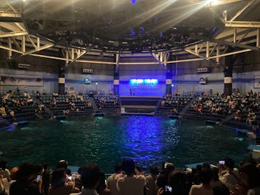 マクセル アクアパーク品川に投稿された画像（2021/8/16）