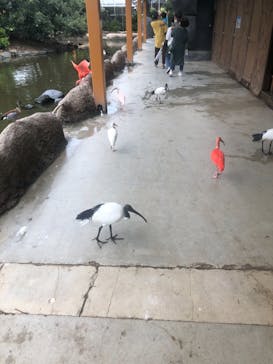 神戸どうぶつ王国に投稿された画像（2021/8/16）