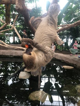 神戸どうぶつ王国に投稿された画像（2021/8/16）