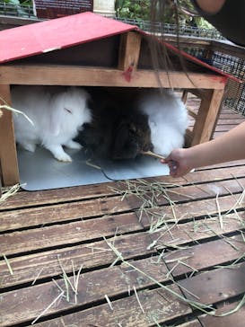 神戸どうぶつ王国に投稿された画像（2021/8/16）