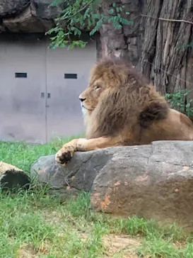 天王寺動物園に投稿された画像（2021/8/16）