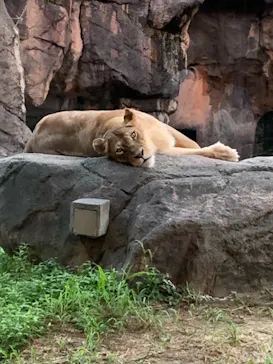 天王寺動物園に投稿された画像（2021/8/16）
