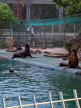 天王寺動物園に投稿された画像（2021/8/16）