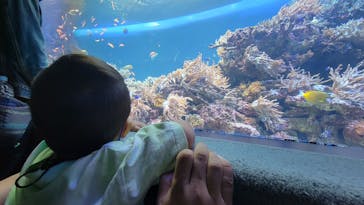 サンシャイン水族館に投稿された画像（2021/8/16）