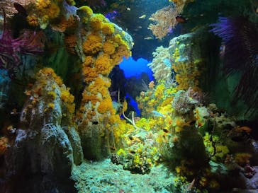 サンシャイン水族館に投稿された画像（2021/8/16）
