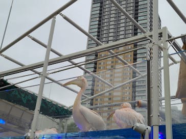 サンシャイン水族館に投稿された画像（2021/8/16）