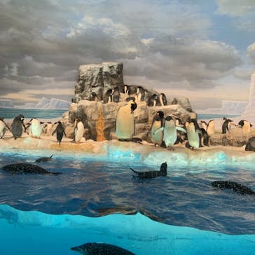 名古屋港水族館に投稿された画像（2021/8/16）