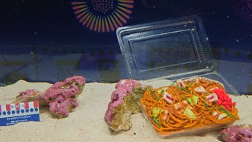 マクセル アクアパーク品川に投稿された画像（2021/8/16）