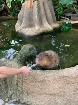 神戸どうぶつ王国に投稿された画像（2021/8/16）