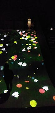 森ビル デジタルアート ミュージアム：エプソン チームラボボーダレスに投稿された画像（2021/8/16）
