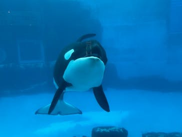 名古屋港水族館に投稿された画像（2021/8/16）