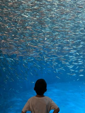 名古屋港水族館に投稿された画像（2021/8/16）