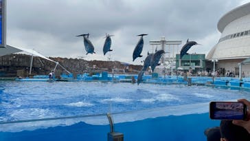 名古屋港水族館に投稿された画像（2021/8/16）