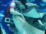 サンシャイン水族館に投稿された画像（2021/8/16）