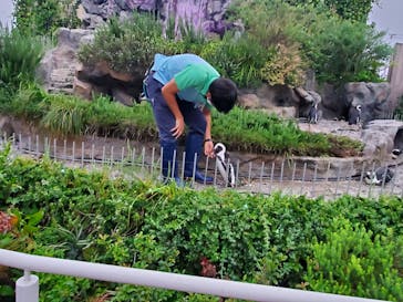 サンシャイン水族館に投稿された画像（2021/8/16）