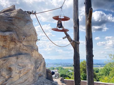 旭川市旭山動物園に投稿された画像（2021/8/16）