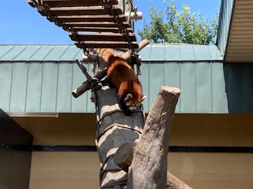 旭川市旭山動物園に投稿された画像（2021/8/16）