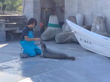 旭川市旭山動物園に投稿された画像（2021/8/16）