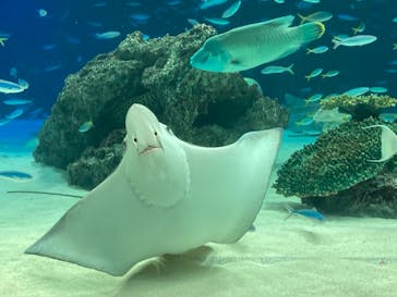 サンシャイン水族館に投稿された画像（2021/8/16）