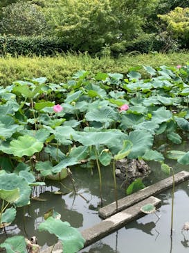 ニデック京都タワーに投稿された画像（2021/8/16）