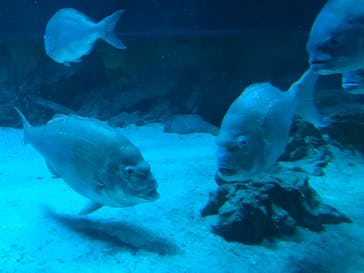 南知多ビーチランド＆南知多おもちゃ王国に投稿された画像（2021/8/16）