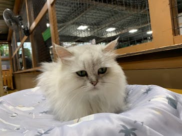 神戸どうぶつ王国に投稿された画像（2021/8/16）