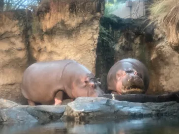 天王寺動物園に投稿された画像（2021/8/16）