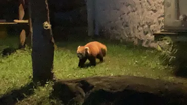 天王寺動物園に投稿された画像（2021/8/16）