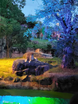 天王寺動物園に投稿された画像（2021/8/16）