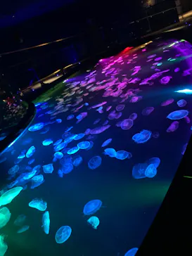 すみだ水族館に投稿された画像（2021/8/16）