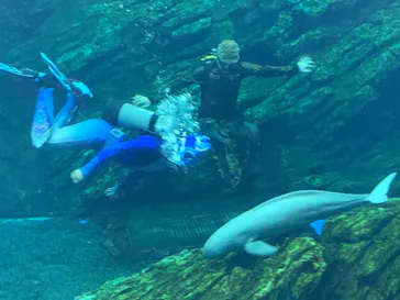 仙台うみの杜水族館に投稿された画像（2021/8/16）