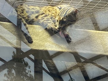 鳥羽水族館に投稿された画像（2021/8/16）