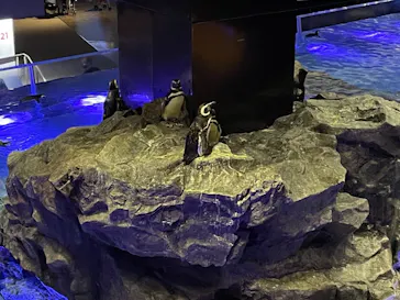 すみだ水族館に投稿された画像（2021/8/16）