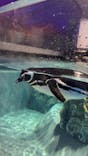 すみだ水族館に投稿された画像（2021/8/17）