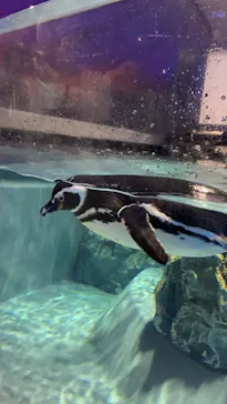 すみだ水族館に投稿された画像（2021/8/16）