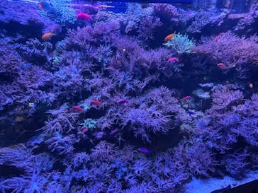 名古屋港水族館に投稿された画像（2021/8/16）