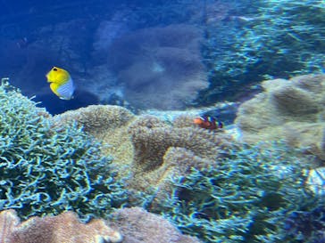 名古屋港水族館に投稿された画像（2021/8/16）