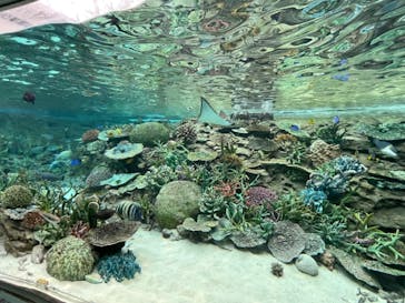 名古屋港水族館に投稿された画像（2021/8/16）