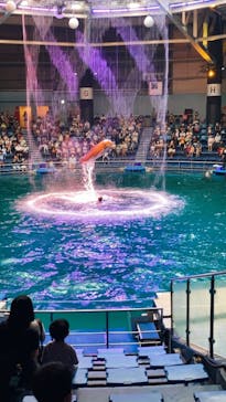 マクセル アクアパーク品川に投稿された画像（2021/8/16）