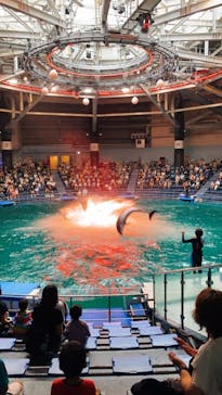 マクセル アクアパーク品川に投稿された画像（2021/8/16）